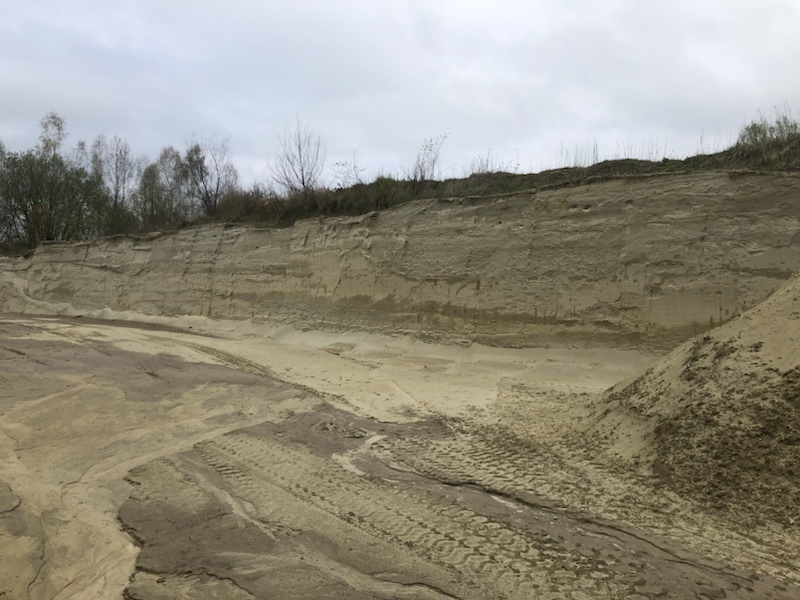 Ein Sandsteinbruch mit sichtbaren Reifenspuren und geschichteten Bodenschichten unter einem bewölkten Himmel. Im Hintergrund vereinzelte Bäume und Vegetation.