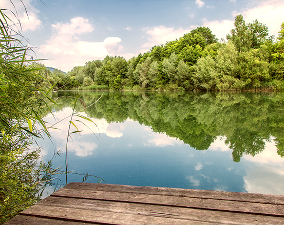 Ein ruhiger See, in dem sich Bäume und Wolken spiegeln, gesäumt von üppigem Grün, mit einem Holzsteg im Vordergrund.