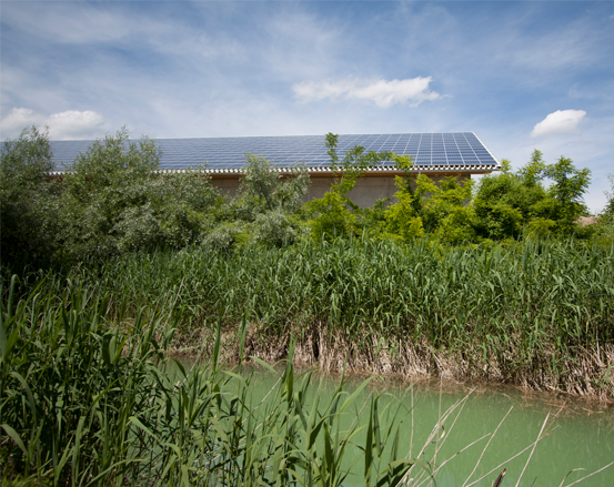 Solarmodule auf einem Gebäudedach sind von üppigen grünen Bäumen und hohem Gras unter einem blauen Himmel umgeben.