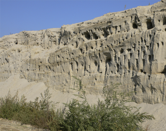 Erodierte Sandklippen mit zerklüfteter Textur unter einem klaren blauen Himmel, mit Gebüsch im Vordergrund.