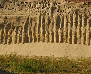 Eine sandige Felswand mit senkrechten Rillen und kleinen Löchern, die an der Basis von grünem Gras gesäumt ist.
