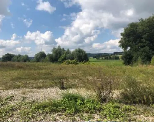 Grasbewachsenes Feld mit vereinzelten Büschen unter einem teilweise bewölkten Himmel, in der Ferne von Bäumen gesäumt.
